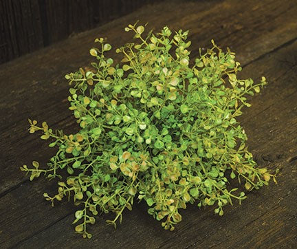 Baby's Grass Half Sphere