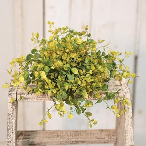 Bog Mini Leaf Half Sphere